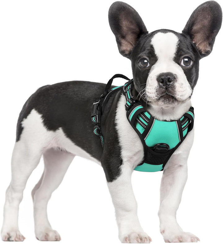 Dog Harness No Pull with 2 Leash Clips, Adjustable Soft Padded, Reflective Oxford No Choke Pet Vest with Easy Control Handle for Large Dogs, Black, L