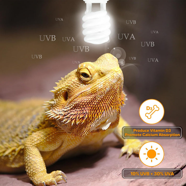 UVA UVB Reptile Light 10.0, Desert UVB 150 Compact Fluorescent Lamp, UVB Light for Reptiles 23W, UVA UVB Reptile Light Bulb, UVB Bulb for Reptiles Bearded Dragons Lizards Tortoises Snakes
