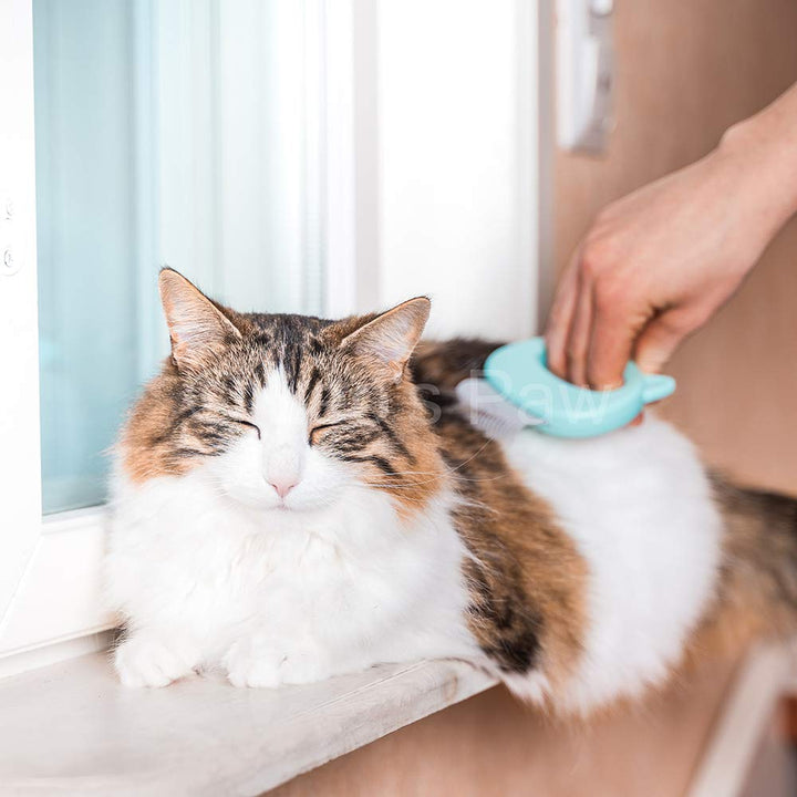the Original Pet Hair Removal Massaging Shell Comb Soft Deshedding Brush Grooming and Shedding Matted Fur Remover Dematting Tool for Long and Short Hair Cat Dog Puppy Bunny (Mint)