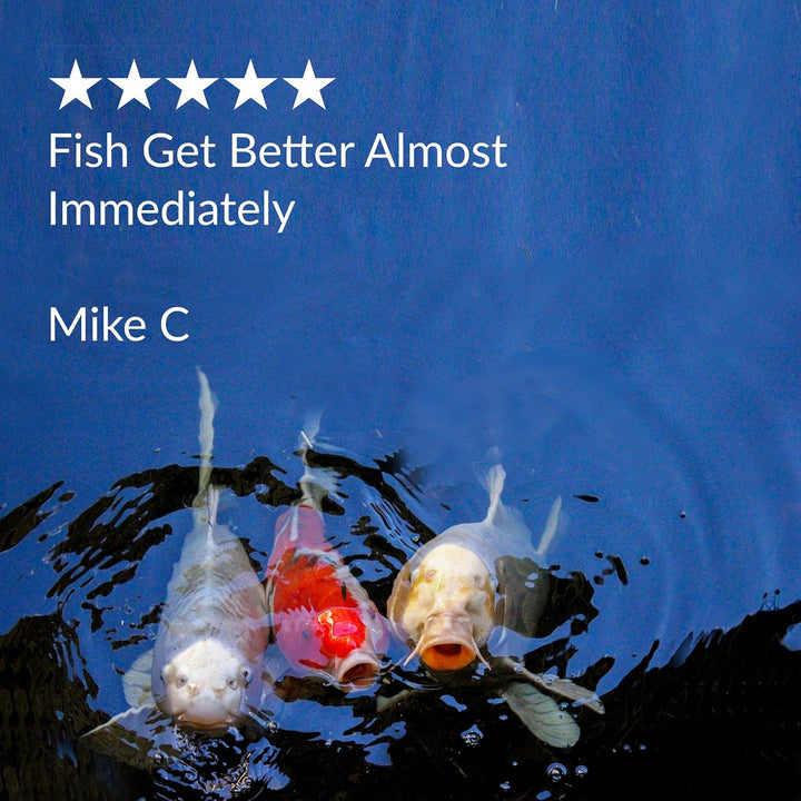 POND MELAFIX Pond Fish Remedy 16-Ounce Bottle