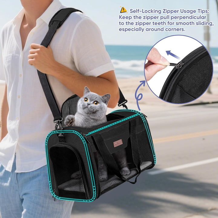 Cat Carrier, Puppy Dog Carrier for Small Medium Pets up to 15 Lbs, Soft-Sided Dog Travel Bag with Safety Zippers, Collapsible Pet Carrying Case (Black, L, 17"X11"X11")