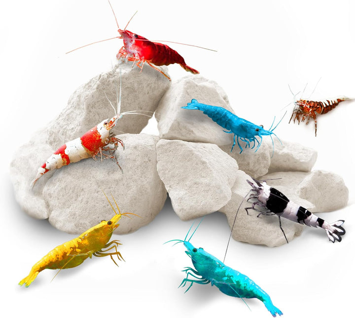 Shrimp Rocks, Calcium, Magnesium Rocks for Crayfish, Hermit Crab, Snails, Crustacean Care, Aquarium Decor for Crystal Red, Amano and Ghost Shrimps, Nano Tank Accessories, Fish Tank Supplies