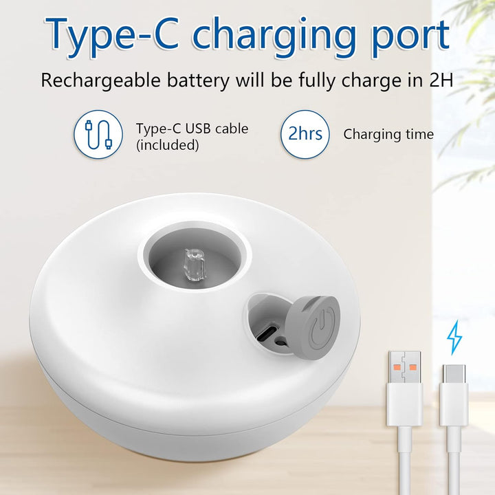 Interactive Cat Toys Cat Exercise Tumbler, Rechargeable Cat Toys for Indoor Cats Spin Butterfly Game Teasing Kitty, Extra Long Feather Wand (P33 Cat Toys)