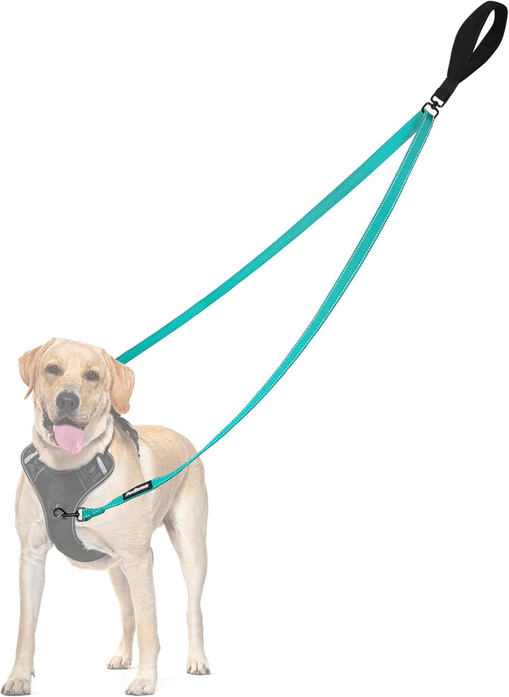 Two Point Control Dog Leash, Works with No Pull Harnesses, No Tangle Training Leashes, Soft Padded and Reflective Walking Lead, Converts to Single Lead for Medium Large Dogs (Black)
