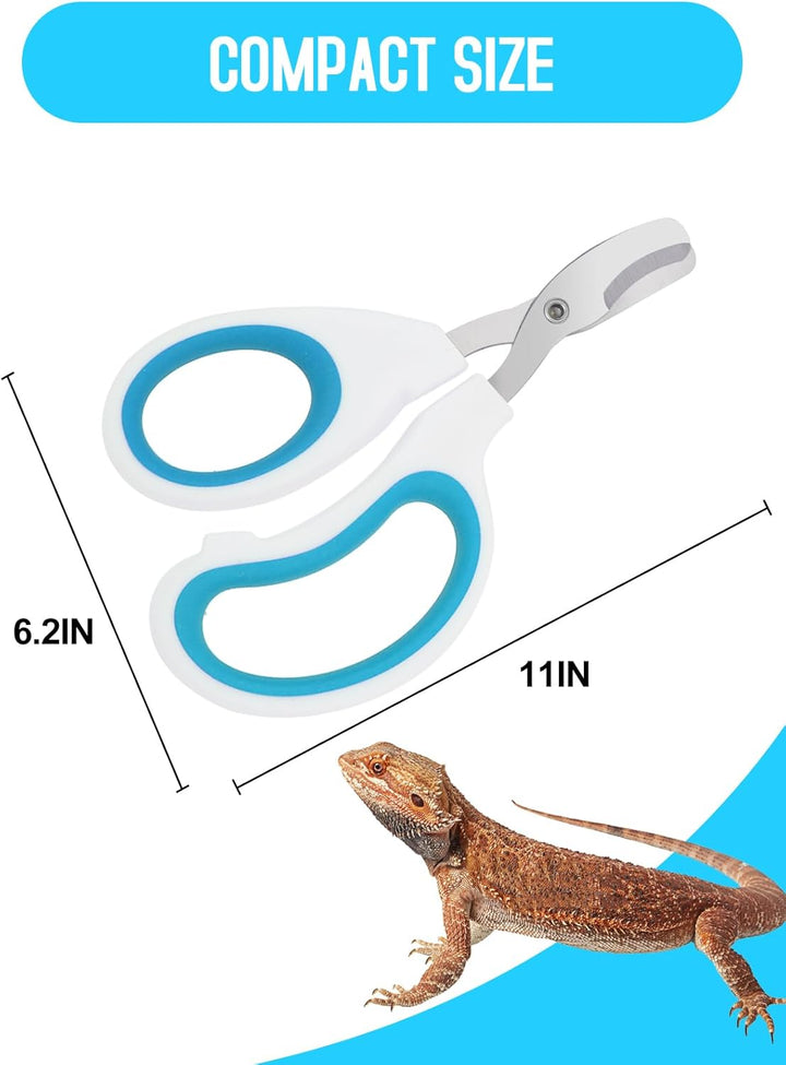 Stainless Steel Bearded Dragon Nail Clippers,Lizard Nail Clippers,Bearded Dragon Supplies,Bearded Dragon Nail Scissors for Small Reptiles,Turtle,Chameleon,Iguana，Hedgehog（Blue）