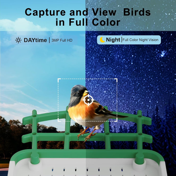 Bird Feeder with Camera AI Identify Birds Species Solar Panel - Smart Bird House with 1080P HD+ Video Live Stream, Instant Arrival Alerts, Live View, Capture Video, Bird Lover Watching (Green)
