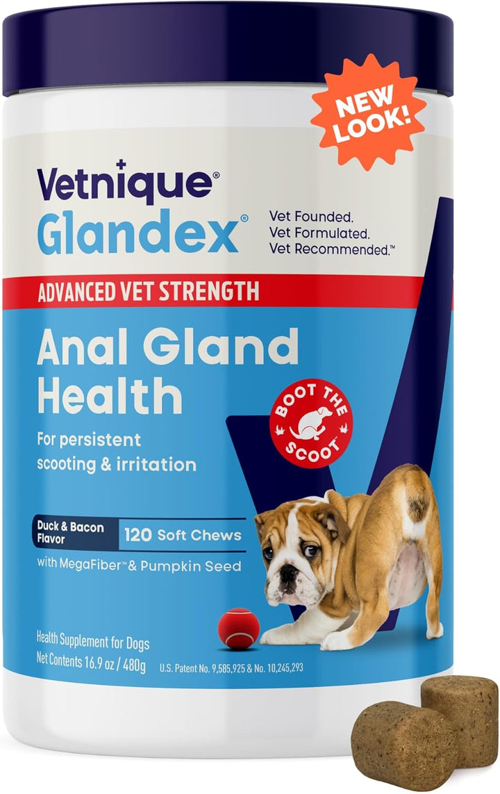 Glandex Anal Gland Soft Chew Treats with Pumpkin for Dogs Digestive Enzymes, Probiotics Fiber Supplement for Dogs Boot the Scoot (Peanut Butter Chews, 60 Count)