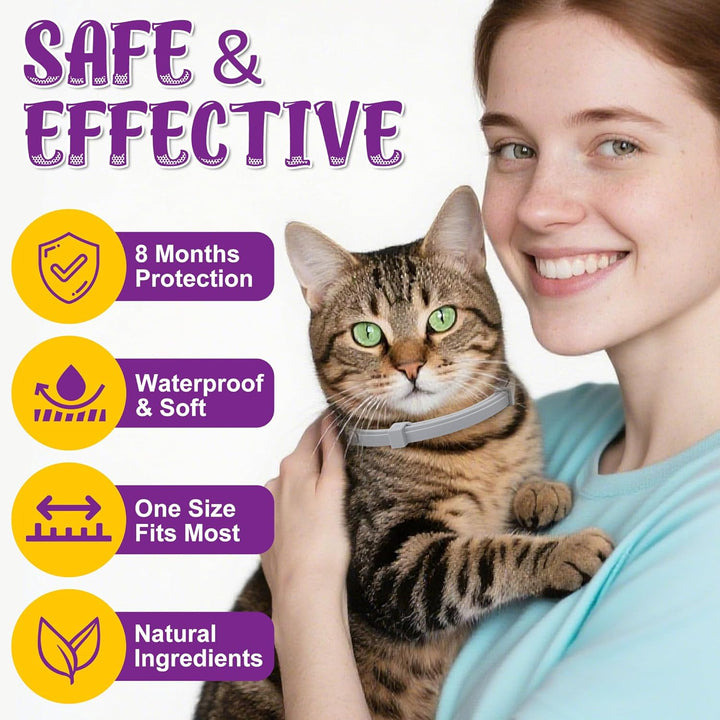 Flea & Tick Collar for Cats 4 Pack - 8 Months Long-Lasting Protection and Prevention, Cat Flea and Tick Collar, Adjustable