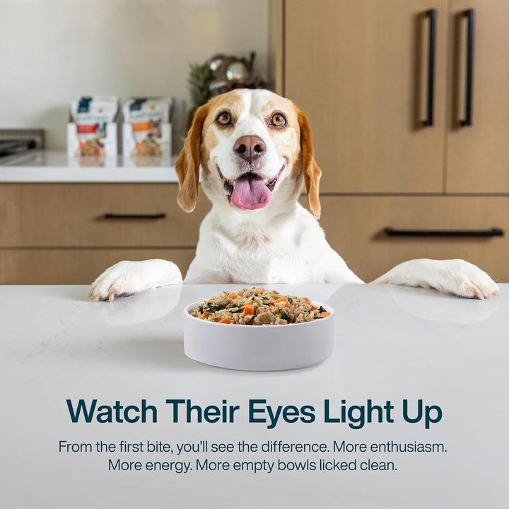 Frozen Fresh Dog Food for Sensitive Skin Allergies, Joint Health, Complete Meal or Human Grade Dog Food Topper, Joint & Skin Support, 18 Oz (Pack of 7)