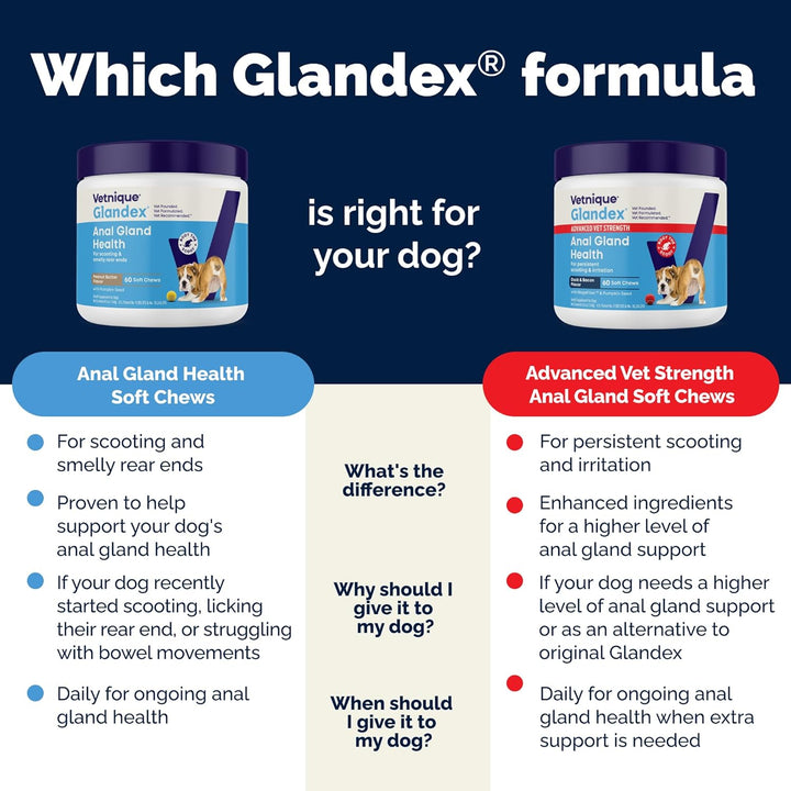 Glandex Anal Gland Soft Chew Treats with Pumpkin for Dogs Digestive Enzymes, Probiotics Fiber Supplement for Dogs Boot the Scoot (Peanut Butter Chews, 60 Count)