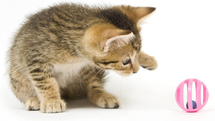 12PCS Value Pack Plastic Ball Cat Toys Lattice Balls with Bell Jingle Kitten Toy,Gift Box 1.5" 6 Styles