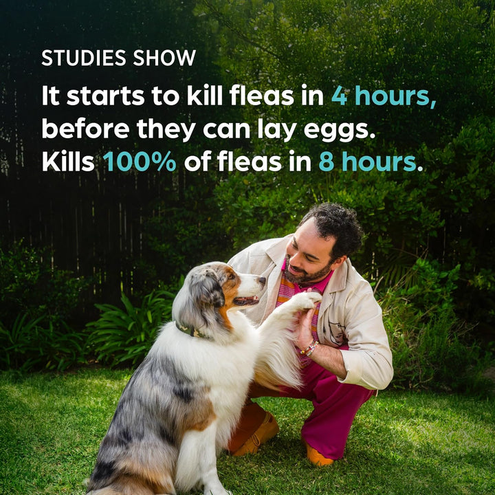 (Sarolaner, Moxidectin, and Pyrantel Chewable Tablets) Chewables for Dogs, 48 Mg/Tab, 44.1-88 Lbs, (Green), 6 Tablets