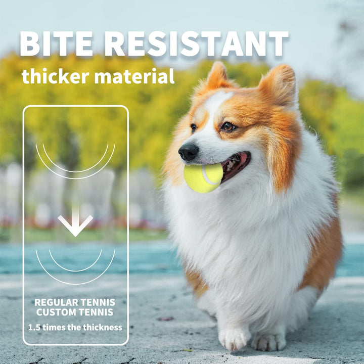 2-Inch Tennis Balls for Dogs, Fetch Toys for Small Medium Dogs, Bouncy & Durable Tennis Balls for Ball Launcher Toy, 6 Pack Fetch Toy for Outdoor Play