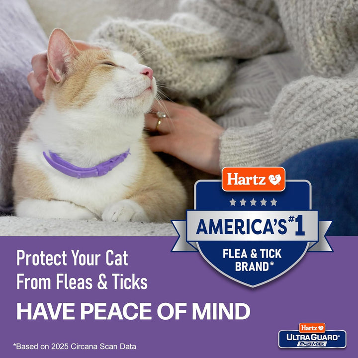 Ultraguard Promax Flea & Tick Collar for Cats I 14 Months Protection I Soft & Comfortable | Flea & Tick Prevention I 2 Pack