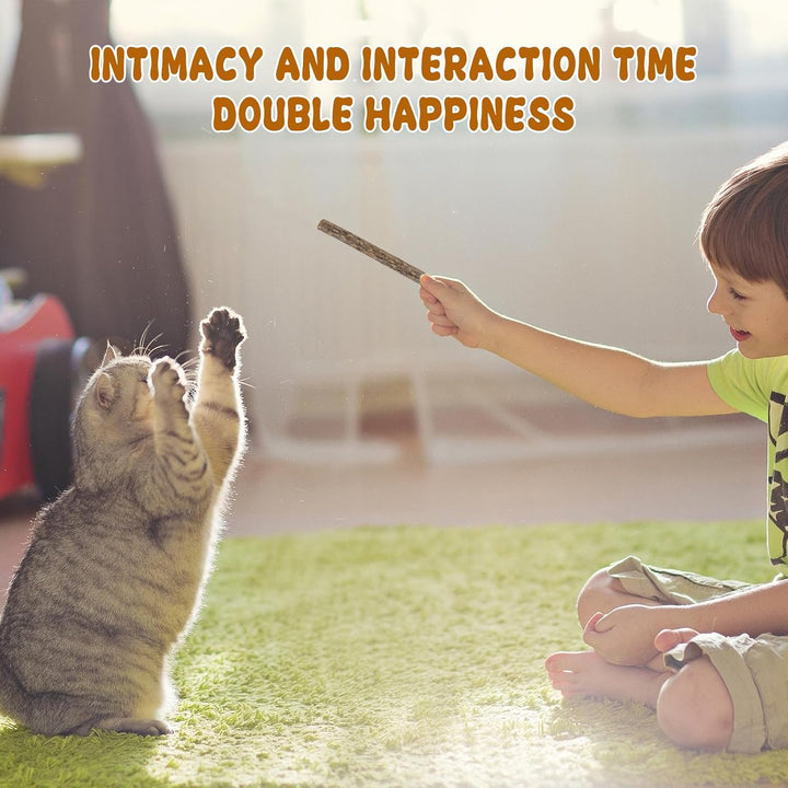 Silvervine Sticks for Cats, Natural Catnip Matatabi Chew Sticks Teeth Molar Chew Toys for Cat Kitten Kitty (At Least 12 PCS)