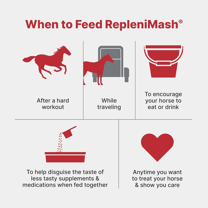 | Replenimash™ Product | Horse Mash (7 Lb)