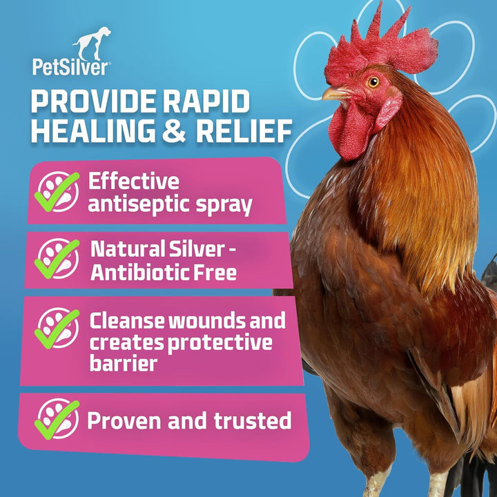 Chicken Wound Spray for Chickens & Birds - Patented Silver Solution - Silver Spray for Wounds, Pecking Sores, Bumblefoot, Cuts, Burns, & Skin Irritations - Chicken Care - USA Made - 12 Fl Oz