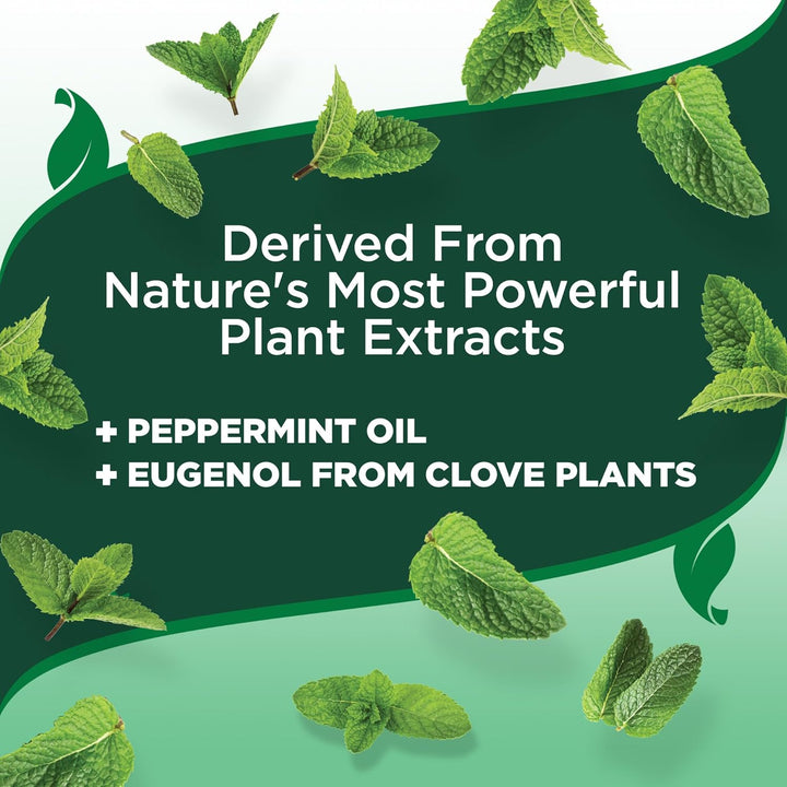 Vet’S Best Indoor Flea and Tick Spray – Dog Flea and Tick Treatment for Home, Plant-Based Formula with Natural Oils, Kills Fleas, Eggs & Ticks on Contact, Made in USA, 32 Oz
