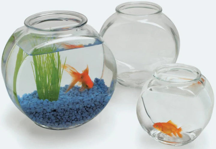 4262 Goldfish Bowl Drum, 1 Gallon