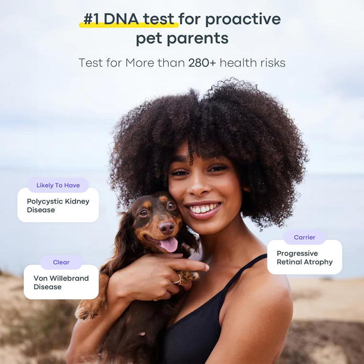 Dog DNA Testing Kit - 300+ Breeds, 280+ Health Risks, and 30+ Traits - Comprehensive Mixed Breed Identification, Pet DNA Test Kit, Canine Genetic Ancestry and Heritage