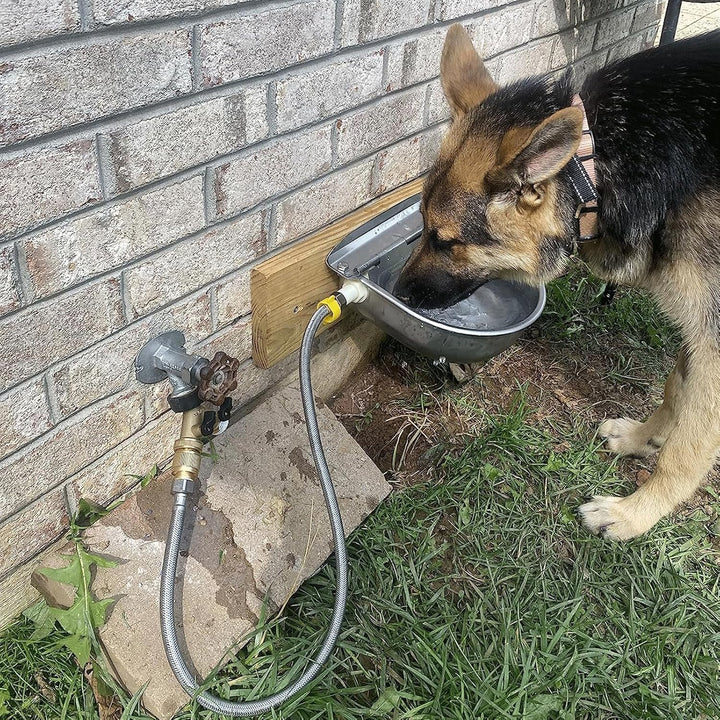 304 Stainless Steel Automatic Livestock Waterer with Float Valve and 39 Inch Water Hose(One End 3/4''), Automatic Animal Water Bowl for Dogs,Horse,Calf,Chicken,Goat, Livestock Horse Waterer Dispenser