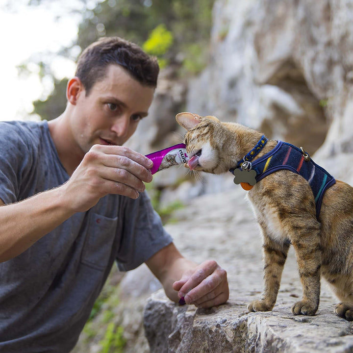 Freestyle Grain-Free Perfect Purees Premium Wet Cat Treats, Squeezable Meal Topper for Felines, High Moisture Content to Support Hydration, 0.5 Ounces in Each Lickable Wet Cat Treat Pouch