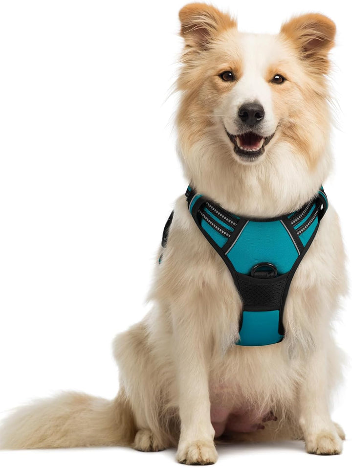 Dog Harness No Pull with 2 Leash Clips, Adjustable Soft Padded, Reflective Oxford No Choke Pet Vest with Easy Control Handle for Large Dogs, Black, L