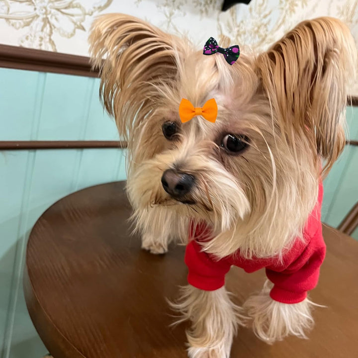 40PCS Dog Hair Bows with Clips 1.5Inch Girl Small Dog Apparel Accessories for Pet Puppy Cat Kitten Rabbit Hair Bows Clips