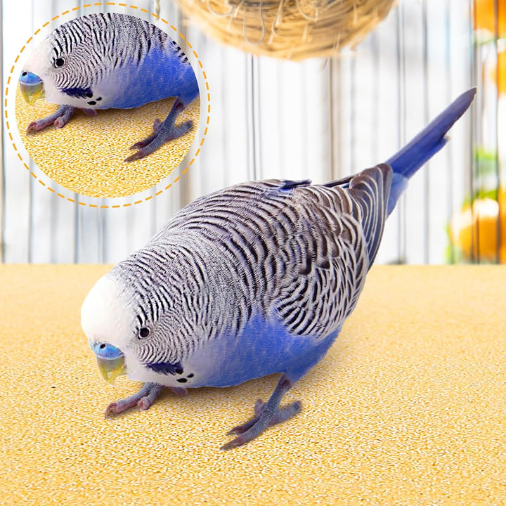 50 Pieces Gravel Liner Paper for Bird Cage, 11 X 17 Inch Birdcage Liner Pet Bedding Accessories, Parrot Cage Sandpapers