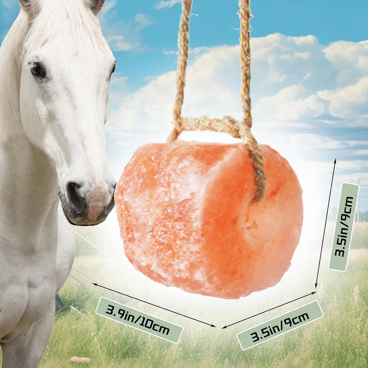 Himalayan Salt Lick Salt Block on Rope for Horse Animals Mineral Salt Licks Natural Pink Licking Salt for Horses Deer Cattle Sheep and Other Livestock (2 Pcs,4.8-6.6 Lbs)