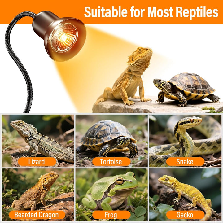 Reptile Heat Lamp, Heat Lamp with Clamp, UVA UVB Reptile Light with Intelligent Cycle Timer for Turtle, Bearded Dragon, Lizard and More, 2 Bulbs 50W+75W