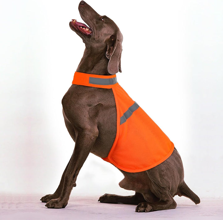 Dog Jacket High Visibility Safety Reflective Dog Vest for Small Medium Large Dogs (Large, Orange)