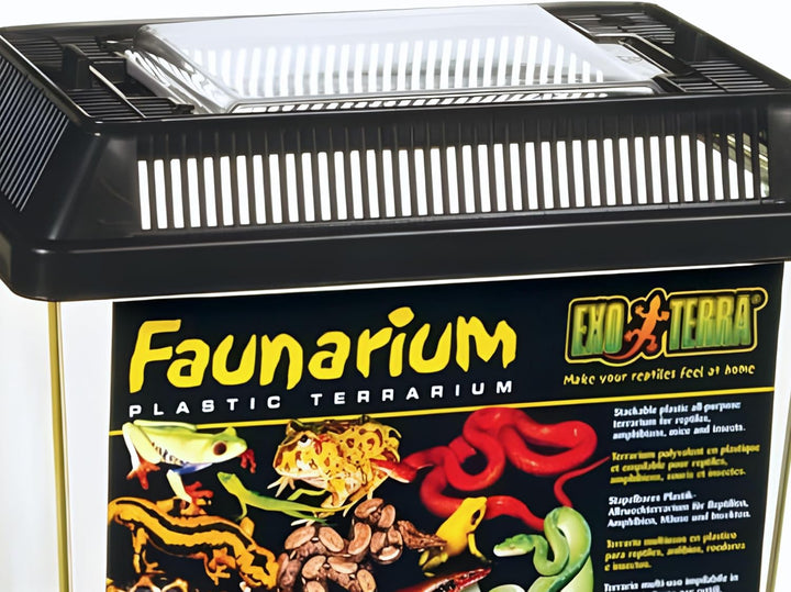 Faunarium, Plastic Reptile Terrarium, Small, PT2255