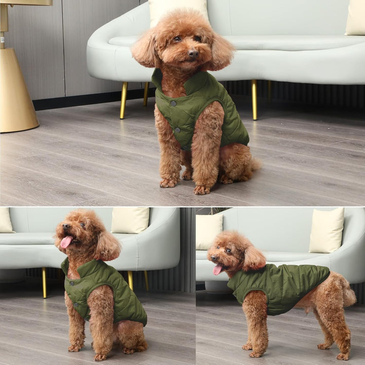 2 Layers Fleece Lined Warm Dog Jacket for Puppy Winter Cold Weather,Soft Windproof Small Dog Coat,Green S