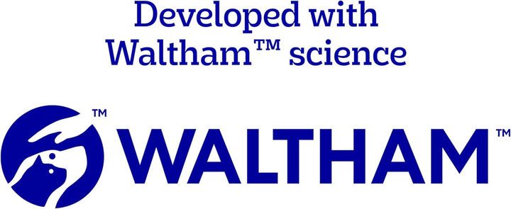 Dentastix Large Breed Dog Treats, Beef Flavor, 1.67 Lb. Bag (32 Treats)