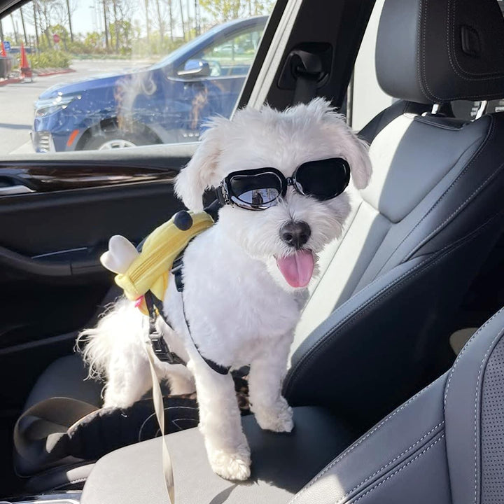 Dog Goggles Small Breed, UV Protection Dog Sunglasses Small Breed, Driving Puppy Eye Protection, Windproof Dustproof Anti-Fog, Breathable, Adjustable Straps, Black