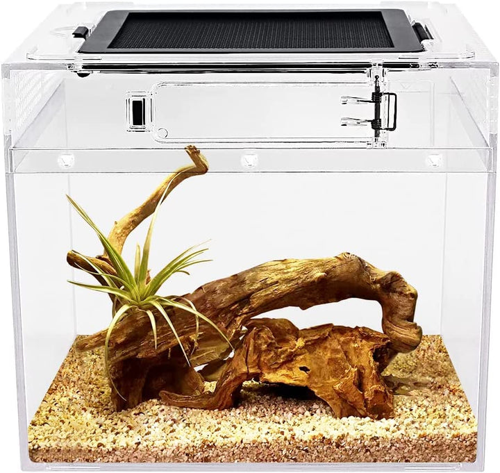 Mini Reptile Terrarium,12" X 7"X 9" Reptile Tank with Full View Visually Appealing，For Insect，Fish，Tarantula，Hermit Crab，Jumping Spider，Iguana，Tortoise，Leopard Gecko，Frog，Bearded Dragon