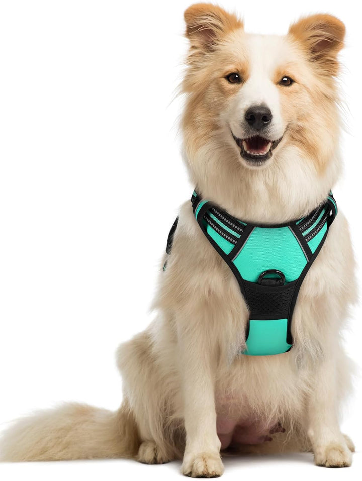 Dog Harness No Pull with 2 Leash Clips, Adjustable Soft Padded, Reflective Oxford No Choke Pet Vest with Easy Control Handle for Large Dogs, Black, L