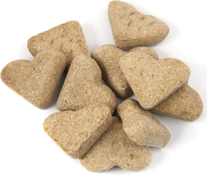 Nutrigood Senior Snax Horse Treats - Apple Flavor Baked Easy-Chew Equine Snack with Glucosamine, Omega-3 & Biotin for Joint, Hoof & Coat Support (Senior Horses) – 2 Lb Bag