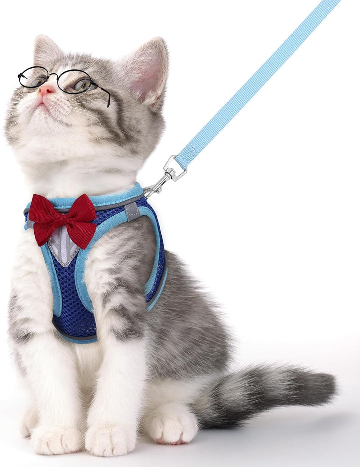 Cat Vest Harness and Leash Set for Walking Escape Proof, Adjustable Kitten Harness Breathable Mesh with Reflective Strips Harness for Kitty Puppy Bunny (Blue, XS)