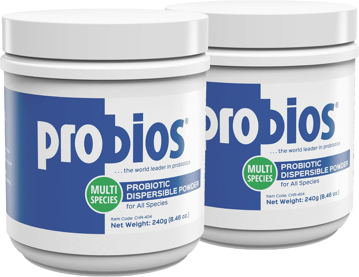 Digestive Support Probiotic for All Species, Probiotics for Gut Health, Dispersible Powder, 240 Gm