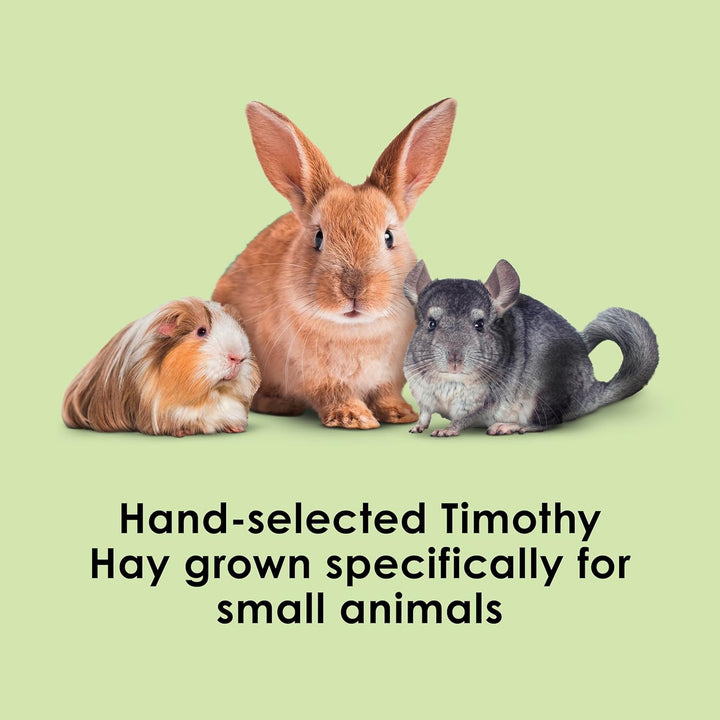 Timothy Hay, High Fiber, Grown Specifically for Small Animals, Rabbits, Guinea Pigs, Chinchillas, 2 Pounds