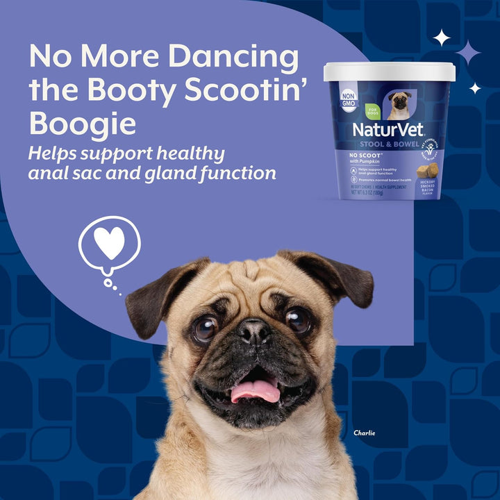 - No Scoot for Dogs - 60 Soft Chews - plus Pumpkin - Supports Healthy Anal Gland & Bowel Function - Enhanced with Beet Pulp & Psyllium Husk