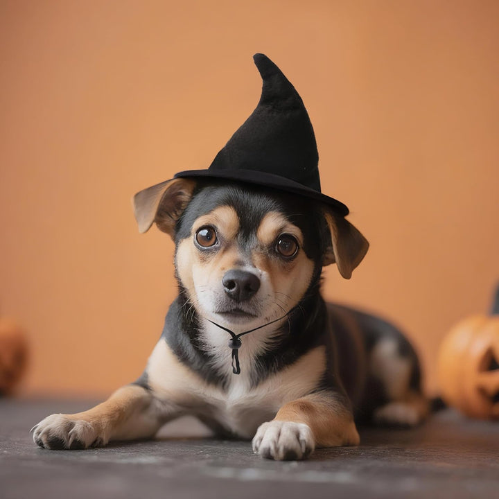 Witch Hat for Cats, Dog Halloween Witch Costume, Black Felt Adjustable Wizard Hat, Pet Costumes Halloween Accessories for Small Medium Pets