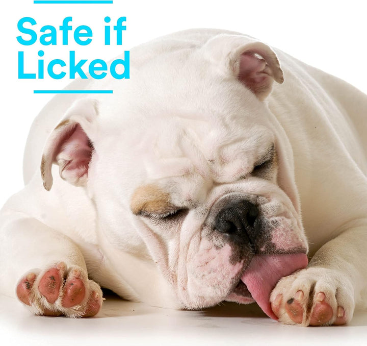 Wound Care for Pets, Hypochlorous Acid Removes Bacteria to Promote Healing and Relieves Itch, Safe If Licked, 8 Ounce Spray Bottle