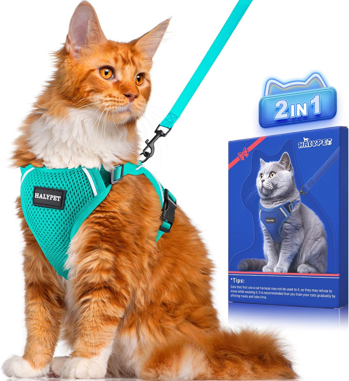 Cat Harness and Leash Set [ MAX Safety Third Generation ] Escape Proof Soft Adjustable Cat Leash Breathable Comfortable Vest Easy to Wear Kitten Harness for Outdoor Walking Black