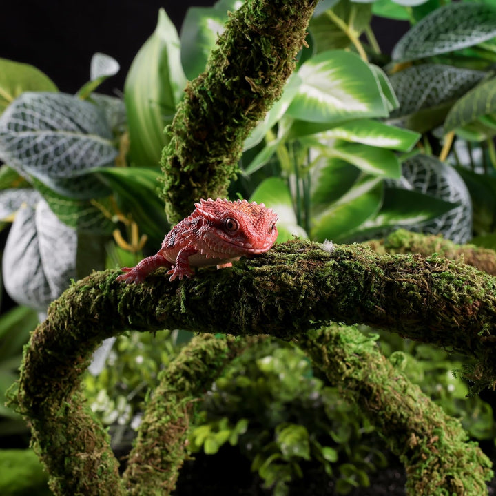 Moss Vine for Reptiles, Bendable Climbing Vines Reptile Tank Accessories, Natural Moss Rope for Leopard Gecko, Lizard, Snake, Chameleon, Frog Terrarium Decor (Jungle Green, 6.5 FT)