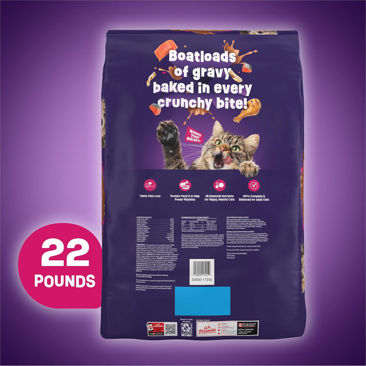 Purina  Dry Cat Food Gravy Swirl'D with Flavors of Chicken, Salmon and Gravy - 22 Lb. Bag