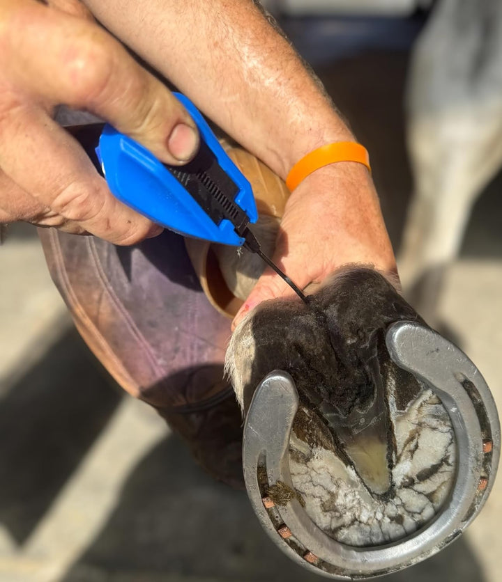 Deep Thrush Gel - Treats Deep Sulcus Thrush - Effective against White Line - Deep Sulcus Infection