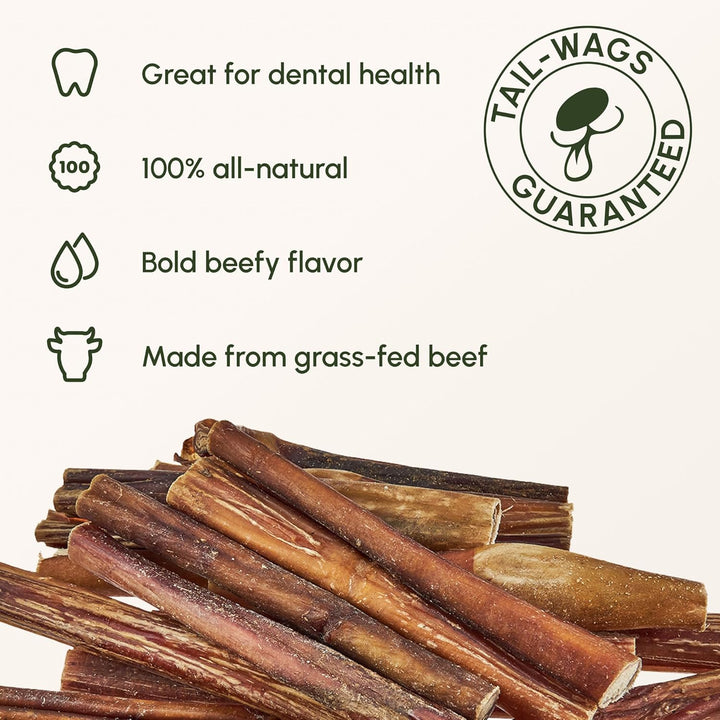 Bully Sticks for Dogs - Natural 6 Inch Beef Chews, Odor-Free & Rawhide-Free, Long Lasting Dog Treats for Aggressive Chewers - Healthy, Safe & Delicious Chews Dogs Love (10 Pack)